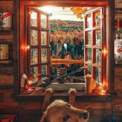 开全站登录app下载手机版