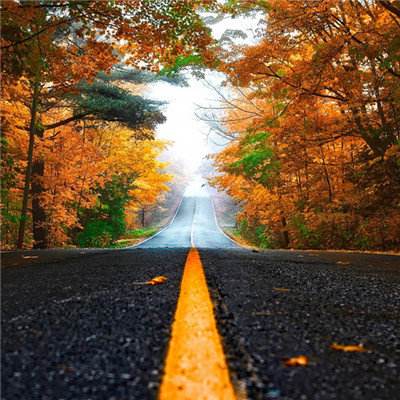 乐鱼APP官方登录入口leyu